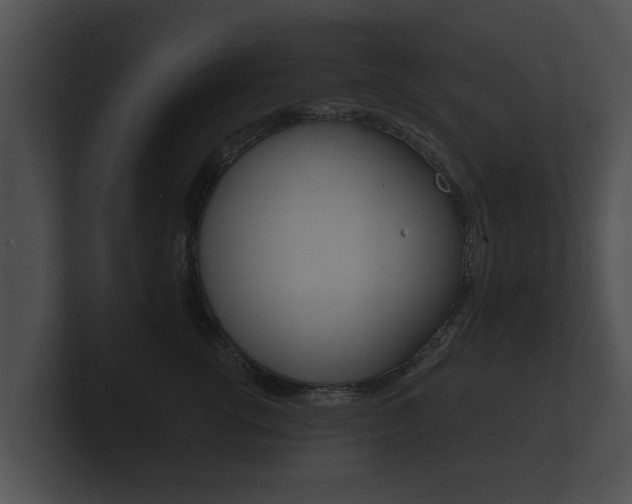X0000100890762200806241009