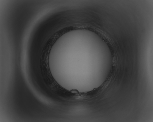 X0000100890764200806241009