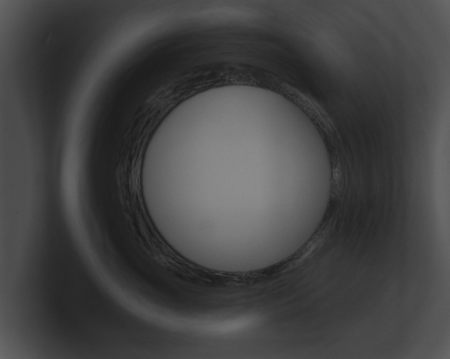 X0000100890765200806241009