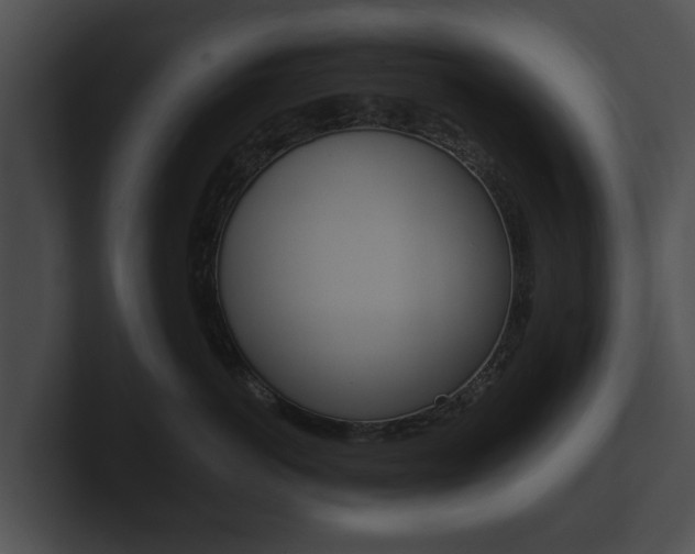 X0000100890766200806241009