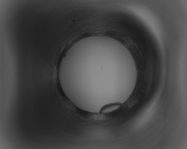 X0000100890767200806241009