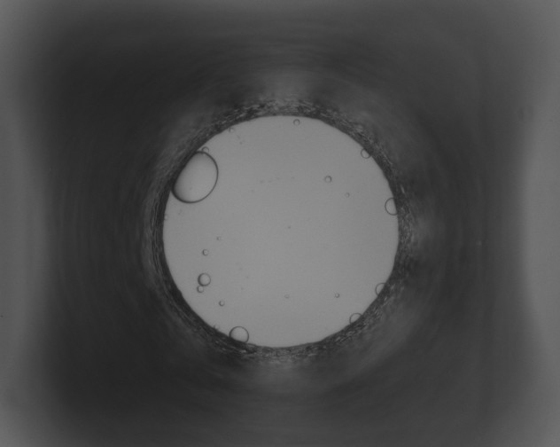 X0000100890769200806241008