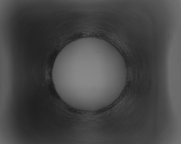 X0000100890770200806241008