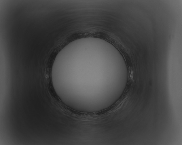 X0000100890771200806241008