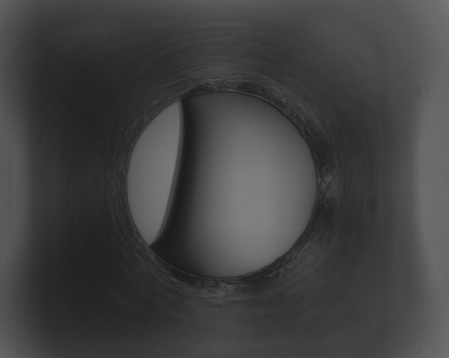 X0000100890772200806241008