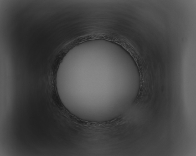 X0000100890773200806241008