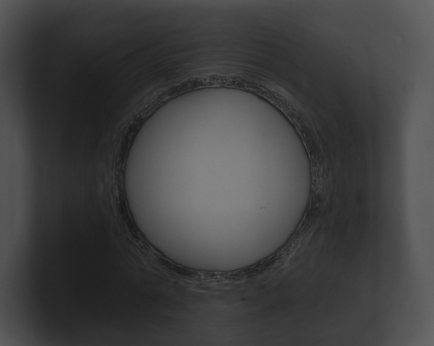 X0000100890774200806241008