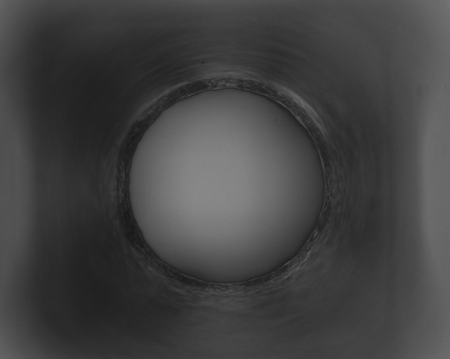 X0000100890775200806241008