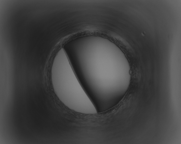 X0000100890776200806241008