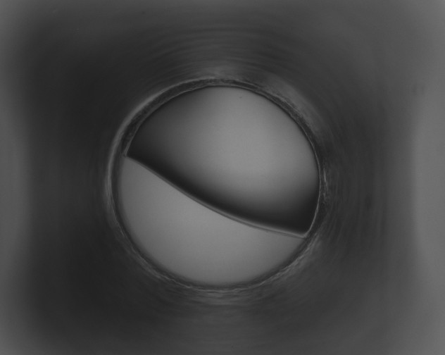 X0000100890780200806241008