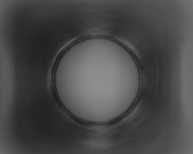X0000100890782200806241008