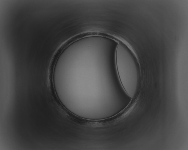 X0000100890783200806241008
