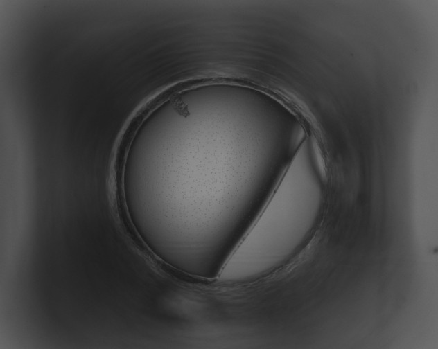 X0000100890784200806241008