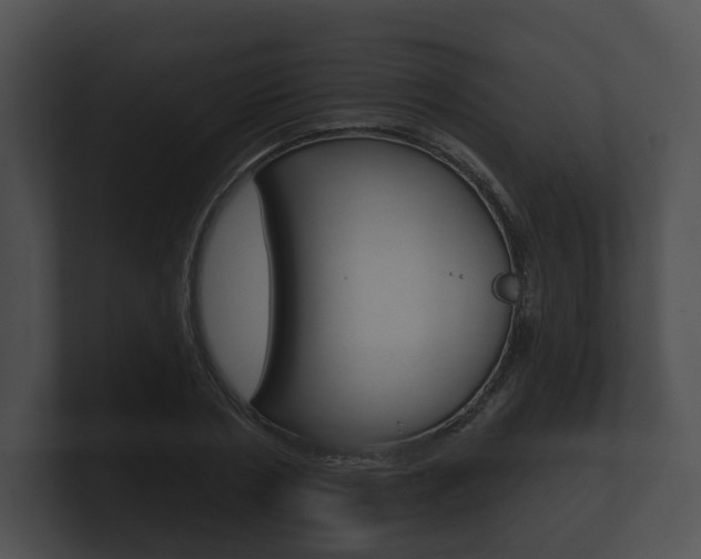 X0000100890786200806241008