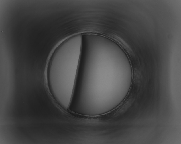X0000100890788200806241008
