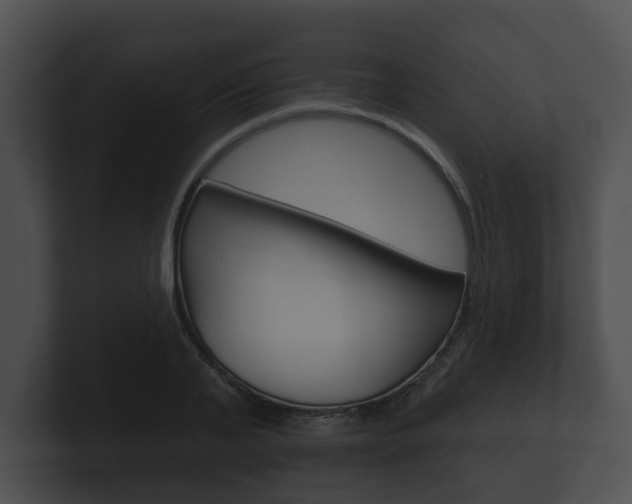 X0000100890791200806241008