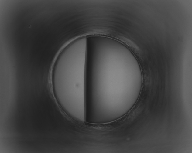 X0000100890792200806241008