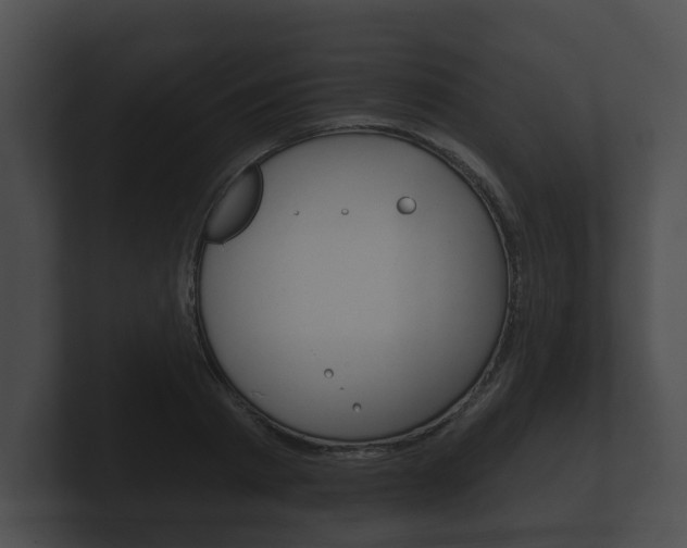 X0000100890793200806241008