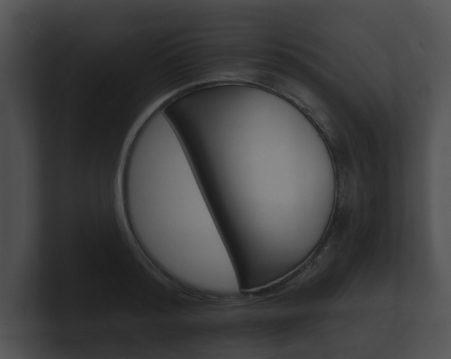 X0000100890796200806241008