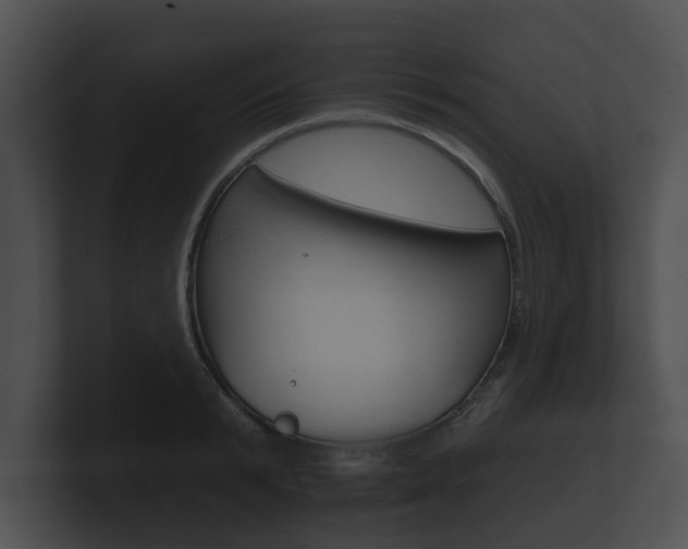 X0000100890799200806241008