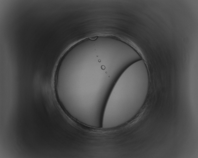 X0000100890803200806241008