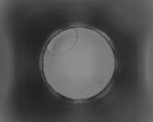 X0000100890807200806241007