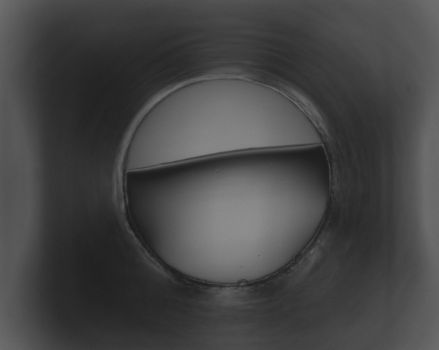 X0000100890808200806241007