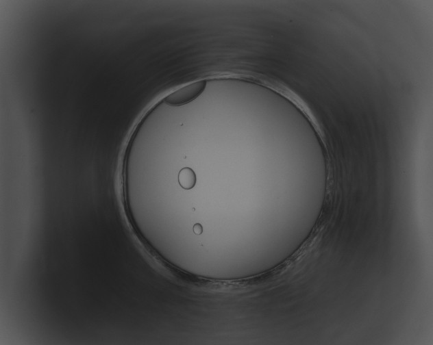 X0000100890811200806241007