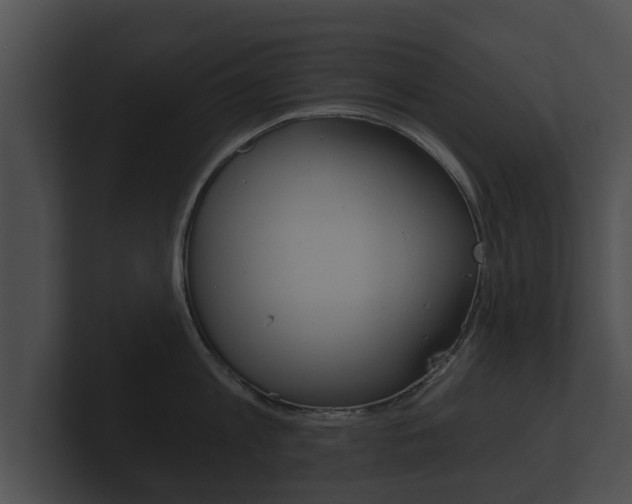 X0000100890813200806241007