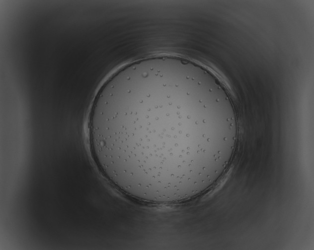 X0000100890814200806241007