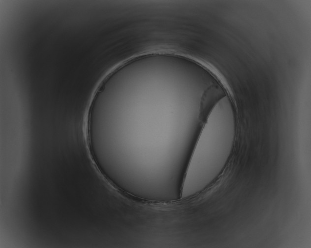 X0000100890815200806241007