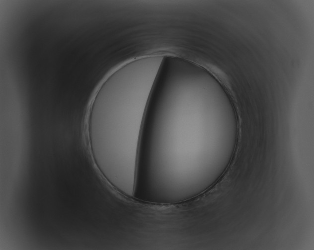 X0000100890816200806241007
