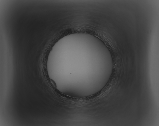 X0000100890817200806241007