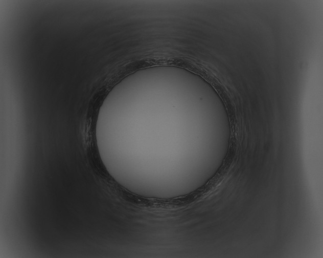 X0000100890818200806241007