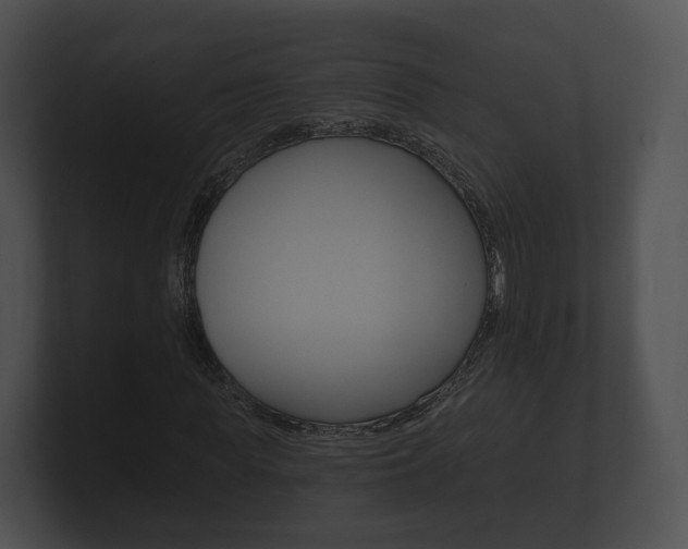 X0000100890819200806241007
