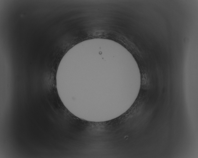 X0000100890820200806241007