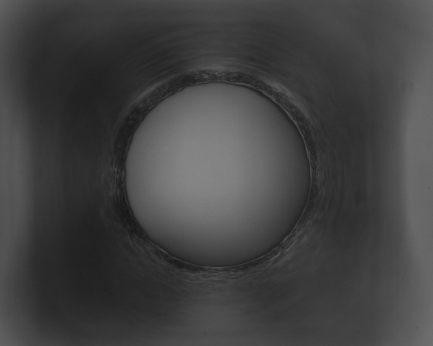X0000100890822200806241007