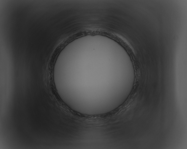 X0000100890823200806241007