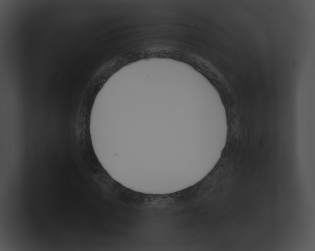 X0000100890824200806241007