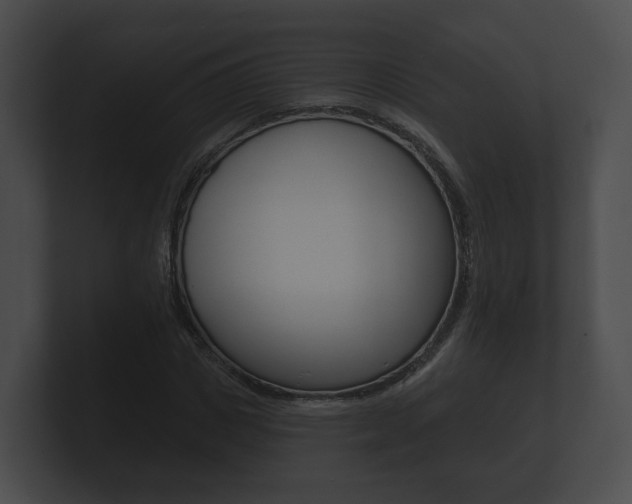 X0000100890825200806241007