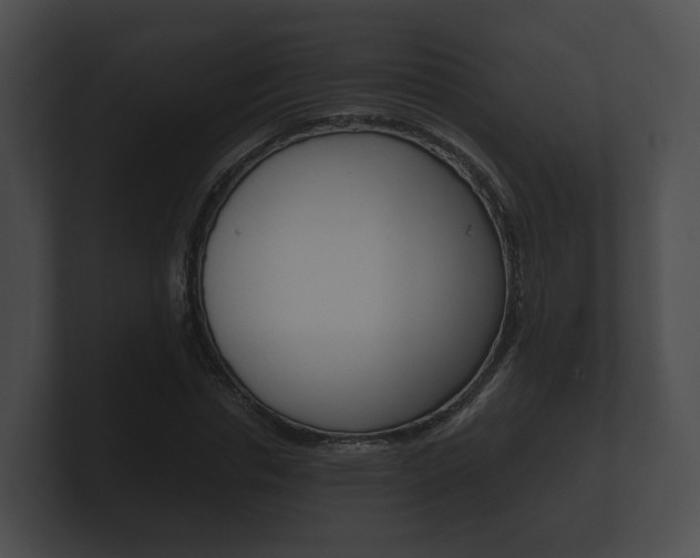 X0000100890826200806241007