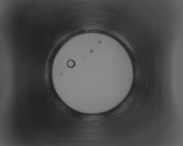 X0000100890832200806241007