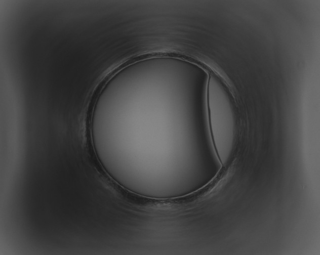 X0000100890834200806241007