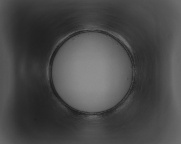 X0000100890839200806241007