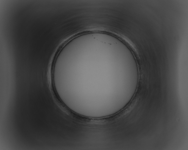 X0000100890840200806241007