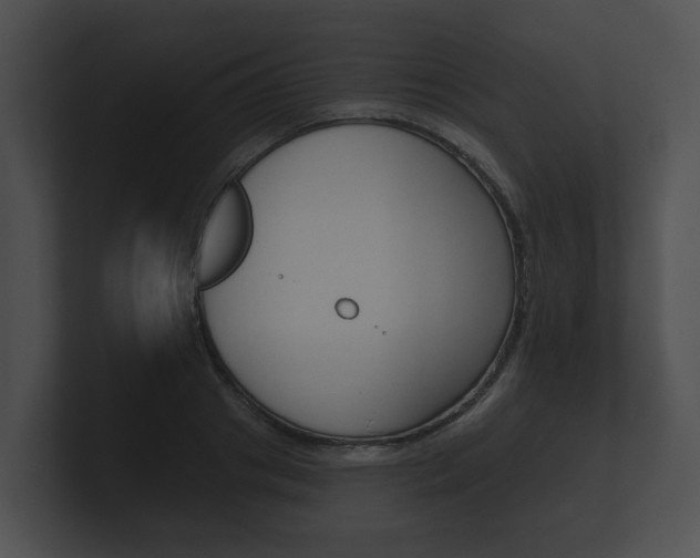 X0000100890841200806241007