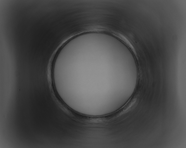 X0000100890843200806241007