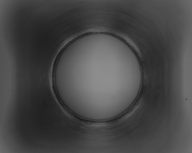 X0000100890845200806241007