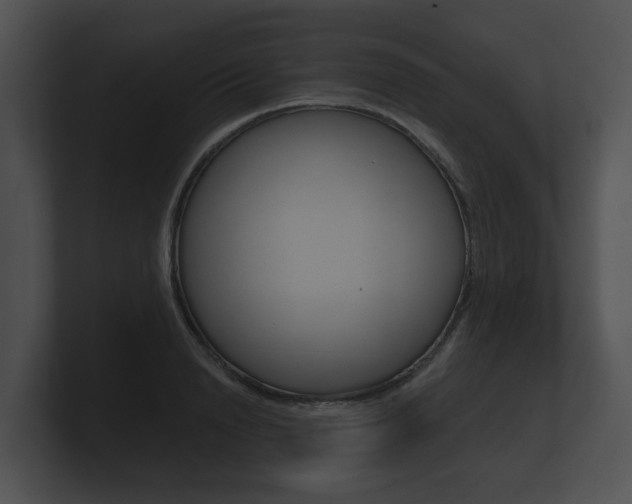 X0000100890846200806241007