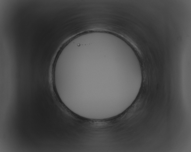 X0000100890848200806241007